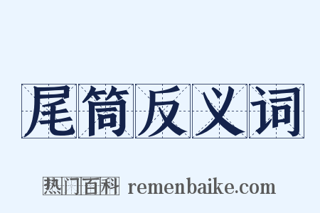 尾筒反义词是什么意思的图片